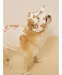 犬 服 「CAT&DOG」サマーベア柄ハットの詳細画像5