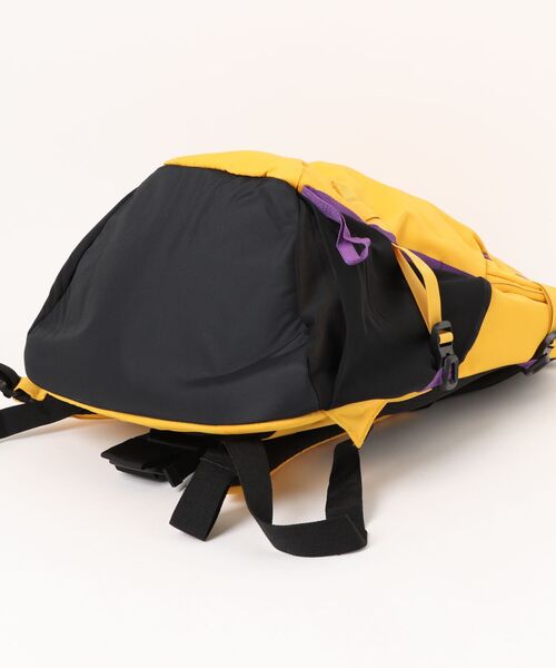 BURTON - (顔)専用　15日くらいまで BURTON デイバック リュック Day Hiker 30L Backpack メンズ
