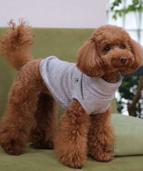 犬と生活 犬 服 犬と生活/いぬとせいかつ/プレーンタートル 1号〜3号
