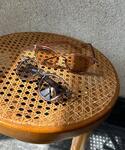 伊達メガネ メガネ 眼鏡 サングラス レディースの詳細画像4