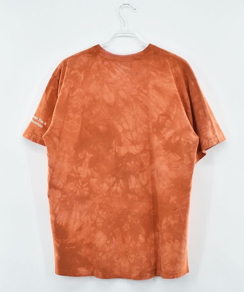THE MOUNTAIN tシャツ 「ヴィンテージ古着」Y2K 虎 タイダイT