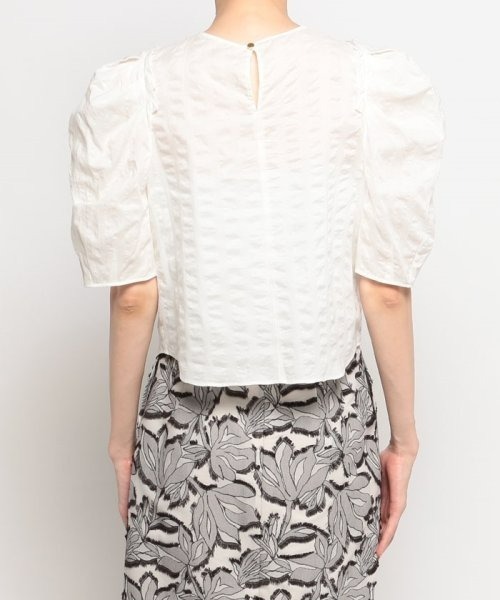 「allureville」 半袖ブラウス 2 サックスブルー レディース_画像4