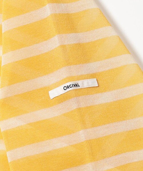 Ray BEAMS（レイ ビームス） tシャツ ORCIVAL / シースルー ボーダー
