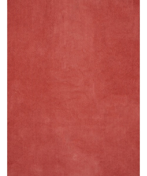 Levi's（リーバイス） ナイロンジャケット LEVI'S(R) SKATE コーチ