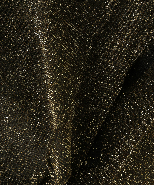 IENA（イエナ） タイツ Pierre Mantoux/ピエールマントゥー ラメタイツ