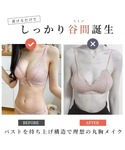 ブラジャー ショーツセット 脇高ブラ&シースル...の詳細画像3
