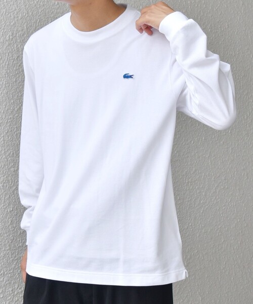 LACOSTE（ラコステ） tシャツ 「SHIPS any別注」LACOSTE: ワンポイント