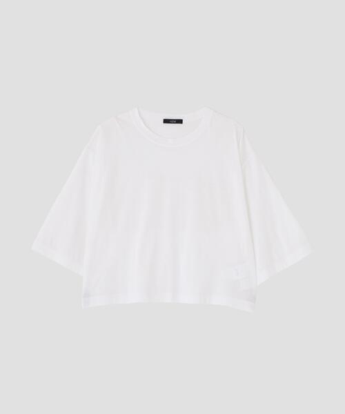 YLEVE（イレーヴ） tシャツ 半袖 YLEVE / COTTON SHEER JERSEY SHORT 