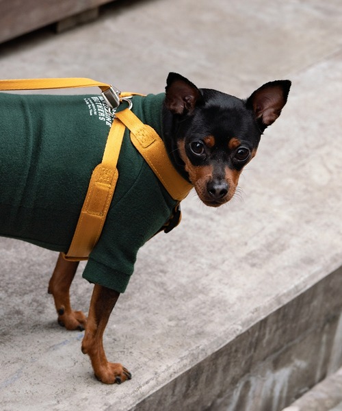 shukiマスタード①ハンズフリーリードクラシックハーネスマスタードS① MANDARINE BROTHERS（マンダリンブラザーズ） 犬 ハーネス リード