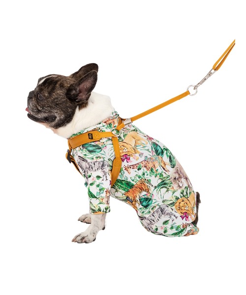 MANDARINE BROTHERS（マンダリンブラザーズ） 犬 ハーネス リード