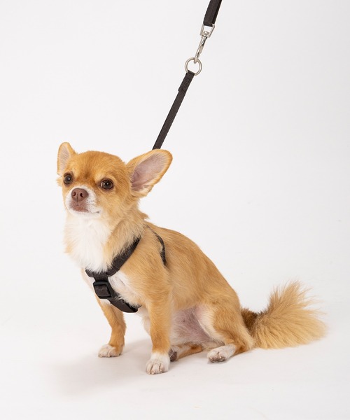 MANDARINE BROTHERS（マンダリンブラザーズ） 犬 ハーネス リード