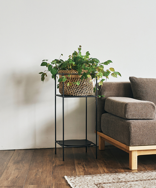 journal standard Furniture（ジャーナル スタンダード ファニチャー