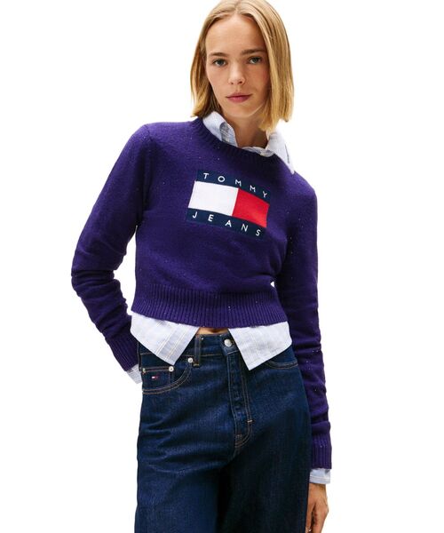 TOMMY JEANS（トミー・ジーンズ） ニット セーター スパークルフラッグ