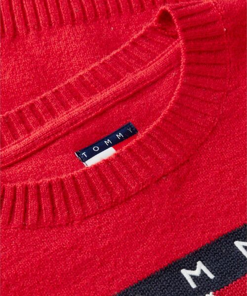 TOMMY JEANS（トミー・ジーンズ） ニット セーター スパークルフラッグ 