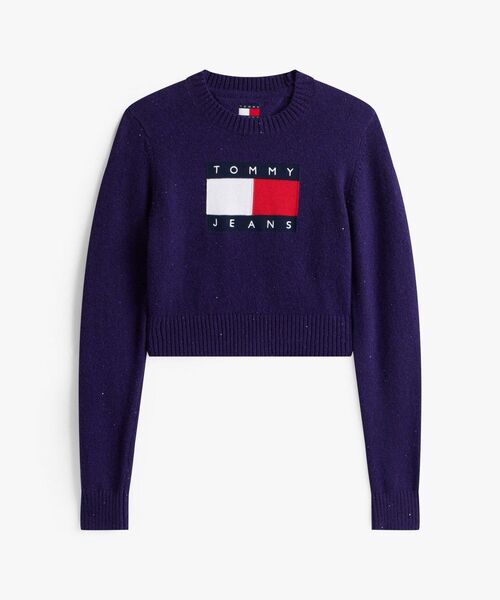 TOMMY JEANS（トミー・ジーンズ） ニット セーター スパークルフラッグ