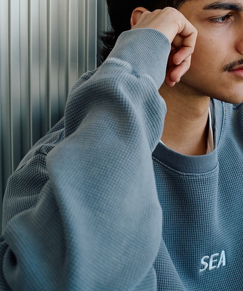トップス WIND AND SEA TEE BLUE WIND AND SEA（ウィンダンシー） tシャツ HEAVY WAFFLE L/S TEE メンズ