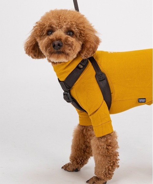 MANDARINE BROTHERS（マンダリンブラザーズ） 犬 ハーネス リード
