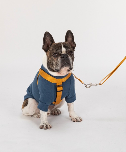 首輪・ハーネス・リード Merry MANDARINE BROTHERS（マンダリンブラザーズ） 犬 ハーネス リード