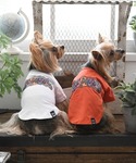 犬 服 XLARGE/ディストーションTの詳細画像1