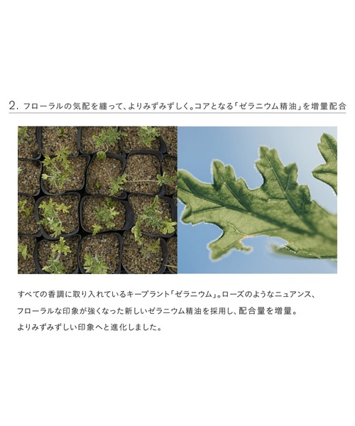 THREE（スリー） 香水 エッセンシャルセンツ R（10mL）04 SPIRIT OF