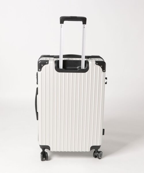 スーツケース DC/ディーシー スーツケース キャリーバッグ DC CC GRAFFIK M 57L DCB261203の画像