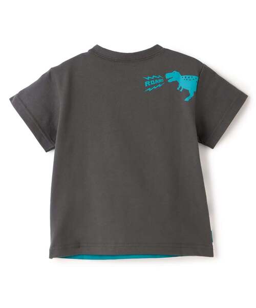 kladskap（クレードスコープ） tシャツ 「人気商品再入荷」「直営店で