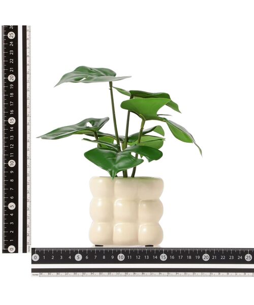 Francfranc（フランフラン） インテリア ポット付きアートグリーン