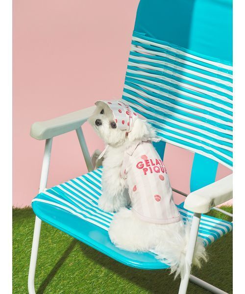 RALPH LAUREN HOME（ラルフ ローレン ホーム） 犬 服 Polo ベア ウール