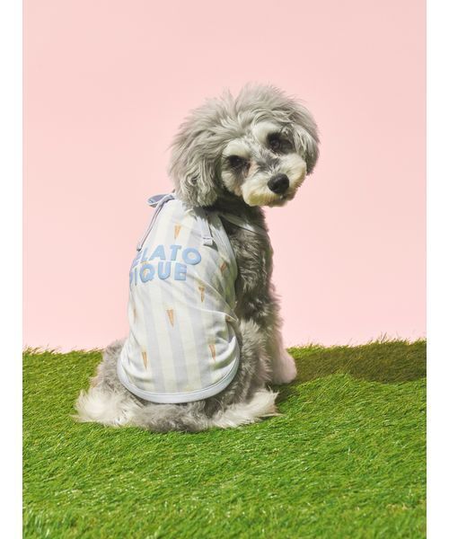 gelato pique（ジェラートピケ） 犬 服 「CAT＆DOG」「接触冷感