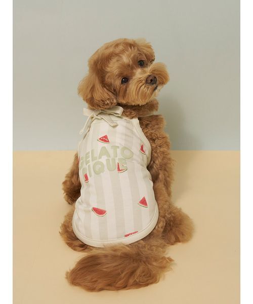gelato pique（ジェラートピケ） 犬 服 「CAT＆DOG」「接触冷感
