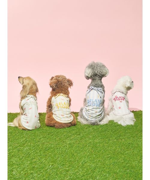 gelato pique（ジェラートピケ） 犬 服 「CAT＆DOG」「接触冷感