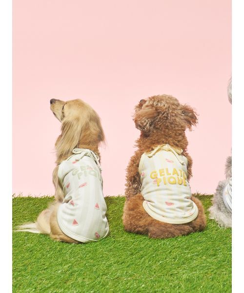 gelato pique（ジェラートピケ） 犬 服 「CAT＆DOG」「接触冷感