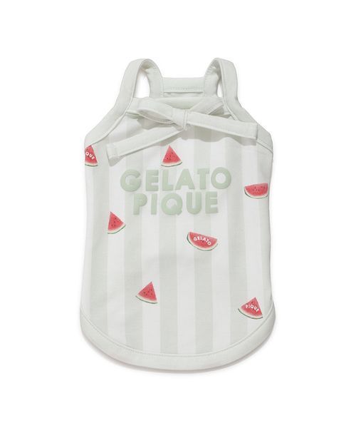 斜めストライプの犬の服 gelato pique（ジェラートピケ） 犬 服 「CAT＆DOG」「接触冷感