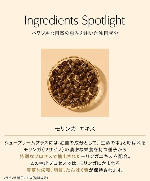 エスティローダー 香水 廃盤のおすすめ人気商品一覧 通販 - Yahoo