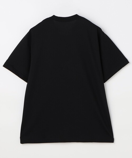 tシャツ 限定展開 THE NORTH FACE/ザ・ノース・フェイス ショートスリーブスモールボックスロゴティー / NT32445 メンズ | FREAK'S STORE | 03