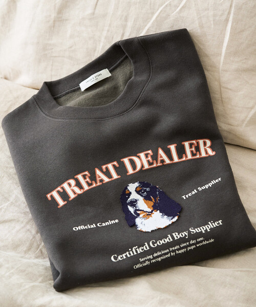 Gato様 確認用 z-series | G-SCAN | 高機能スキャンツール ジースキャン ゼットシリーズ