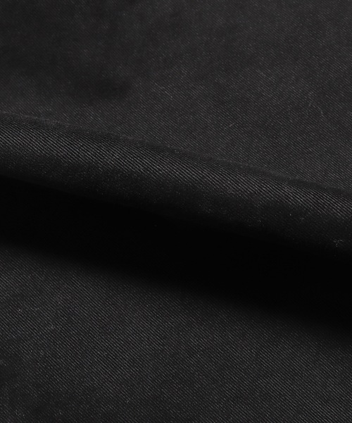 STUSSY チノパン STUSSY/ステューシー BRUSHED BEACH PANT