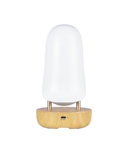 IDEA LABEL（イデアレーベル） 照明 トゥーカンライト オオハシ