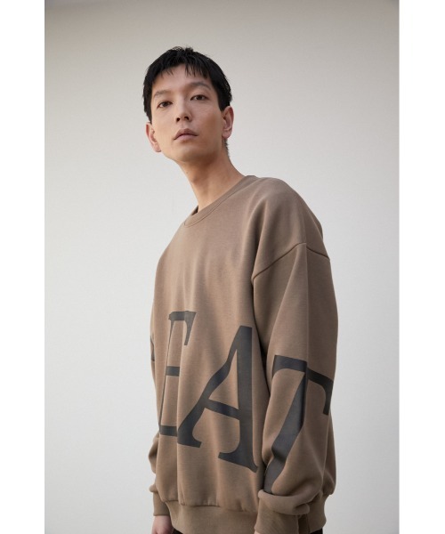 AZUL BY MOUSSY トレーナー スウェット FEAT BIG LOGO PULLOVER