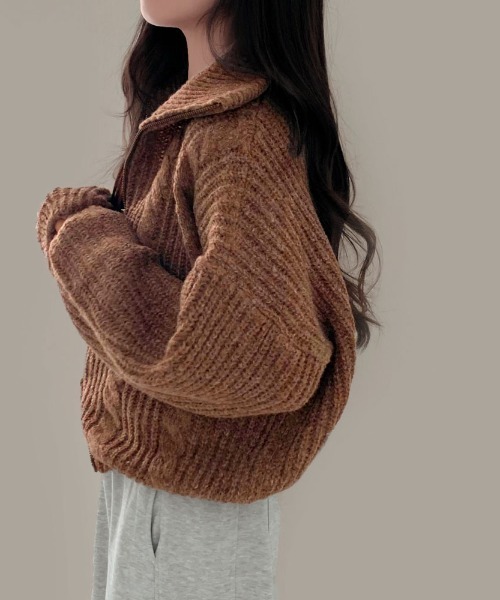 Aelina カーディガン ハイネックダブルジップニットカーディガン