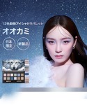 アイシャドウ エクスプローラ 12色動物アイシ...の詳細画像2