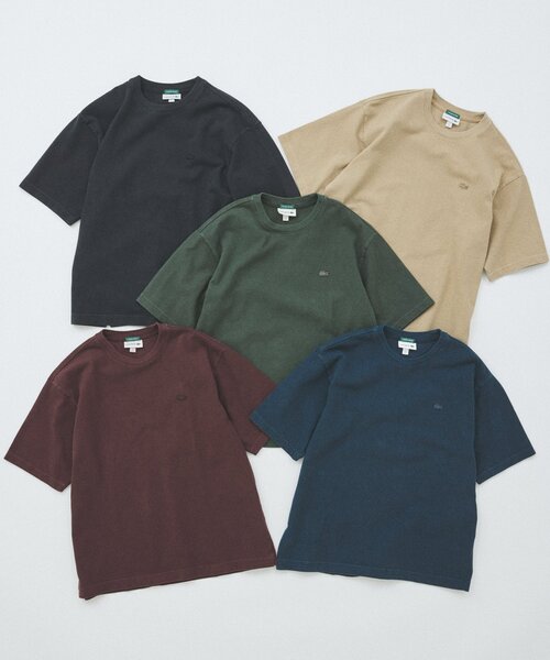 LACOSTE tシャツ / ラコステ 別注 ピグメント ダイ ピケ Tシャツ