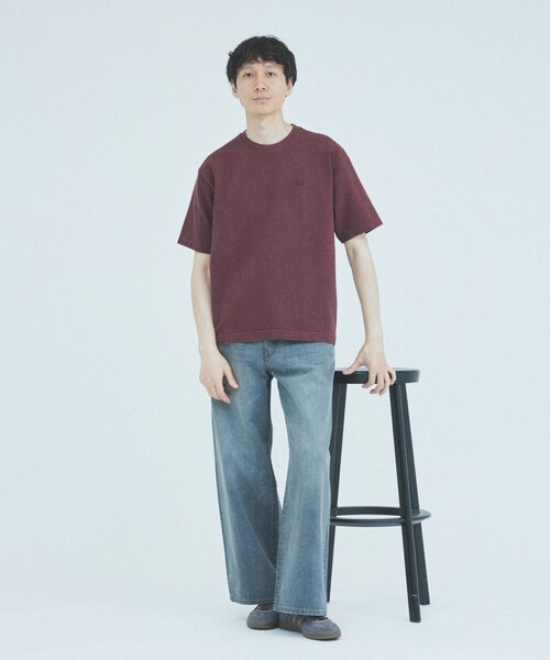 別注・完売必至 国内発 LACOSTE ピグメント ダイ ピケ Tシャツ LACOSTE tシャツ / ラコステ 別注 ピグメント ダイ ピケ Tシャツ