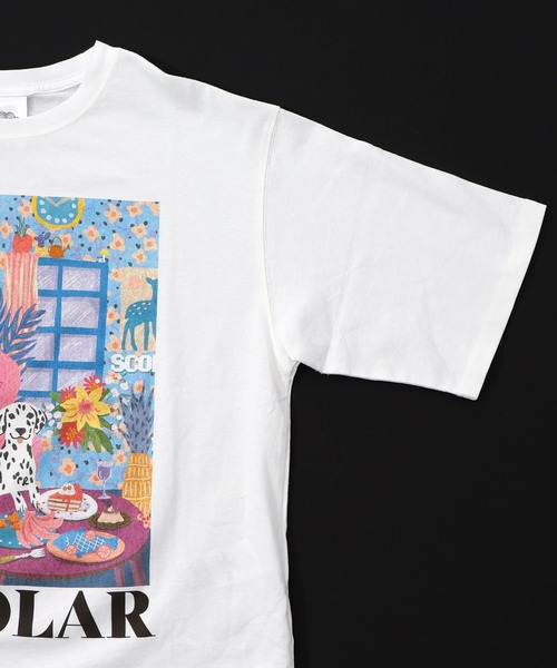 ScoLar（スカラー） tシャツ 161630：スカラールーム柄Tシャツ