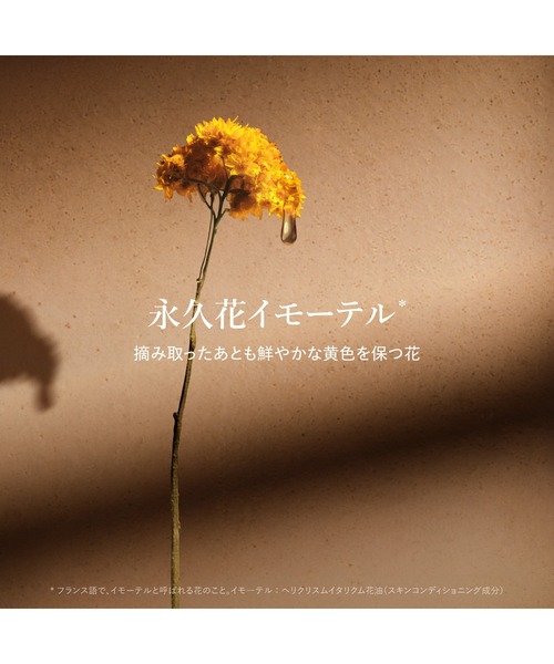L'OCCITANE（ロクシタン） スキンケアセット 「数量限定」イモーテル