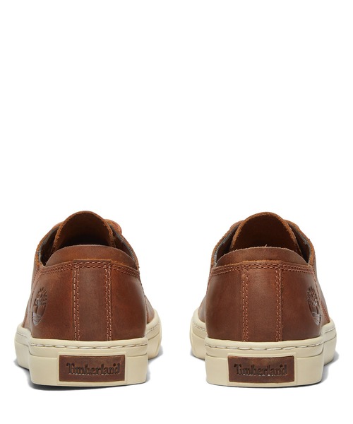 [Timberland] low cut спортивные туфли 25.0cm дерево мужской 