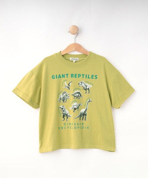 SHOO・LA・RUE（シューラルー） tシャツ 「100-120cm」猛獣恐竜フォト