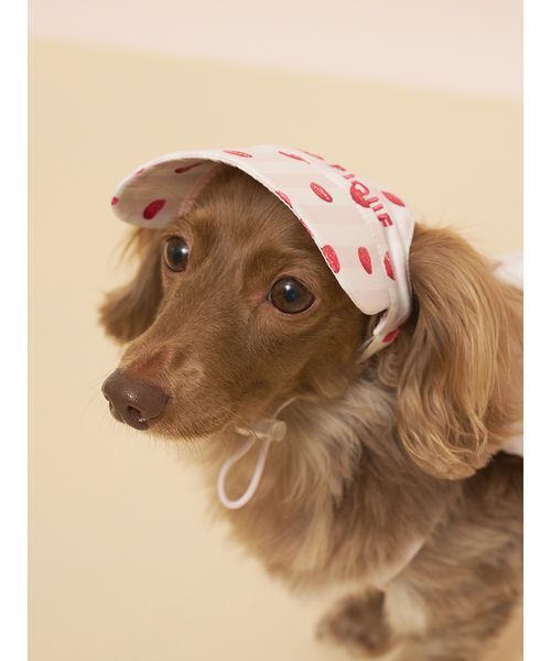 gelato pique（ジェラートピケ） 犬 服 「CAT＆DOG」ソフトサン
