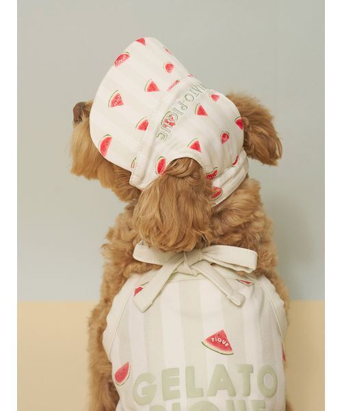 gelato pique（ジェラートピケ） 犬 服 「CAT＆DOG」ソフトサン