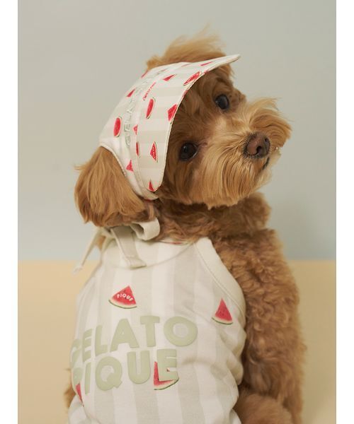 gelato pique（ジェラートピケ） 犬 服 「CAT＆DOG」ソフトサン